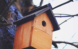 Birdhouse Wooden