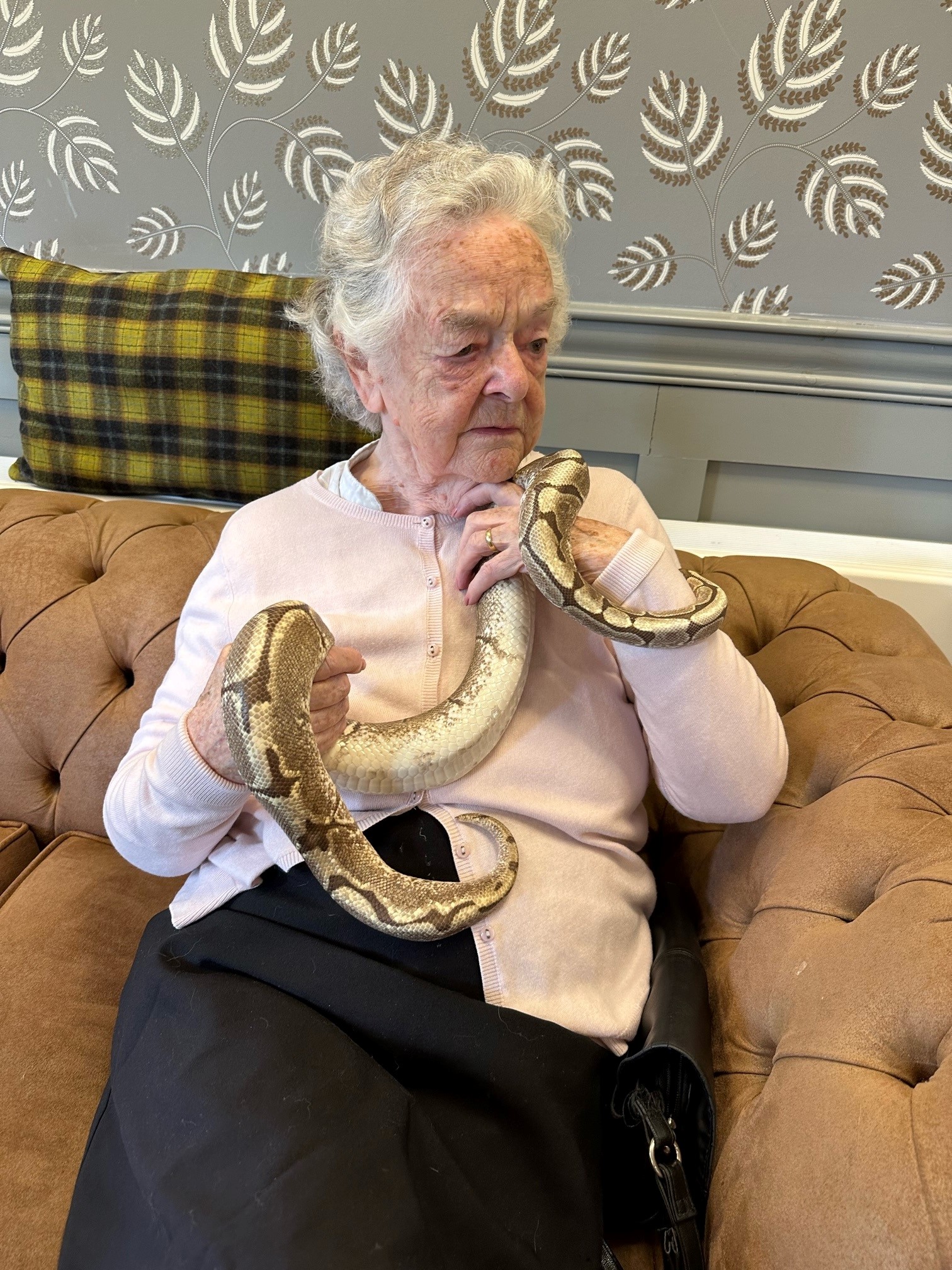 Resident Holding Snake
