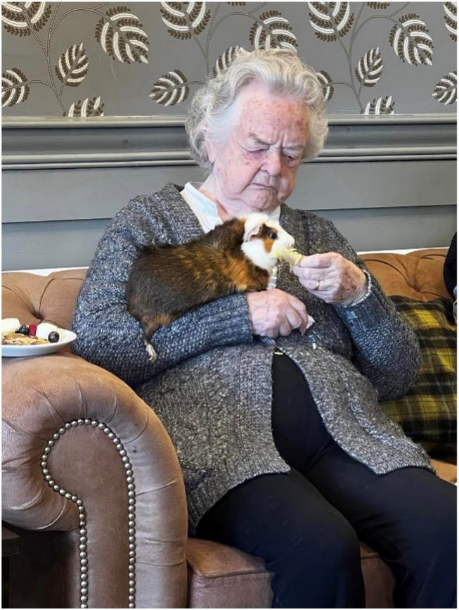 resident-with-guinea-pig