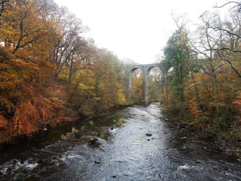 almondell-and-calderwood-country-park-broxburn