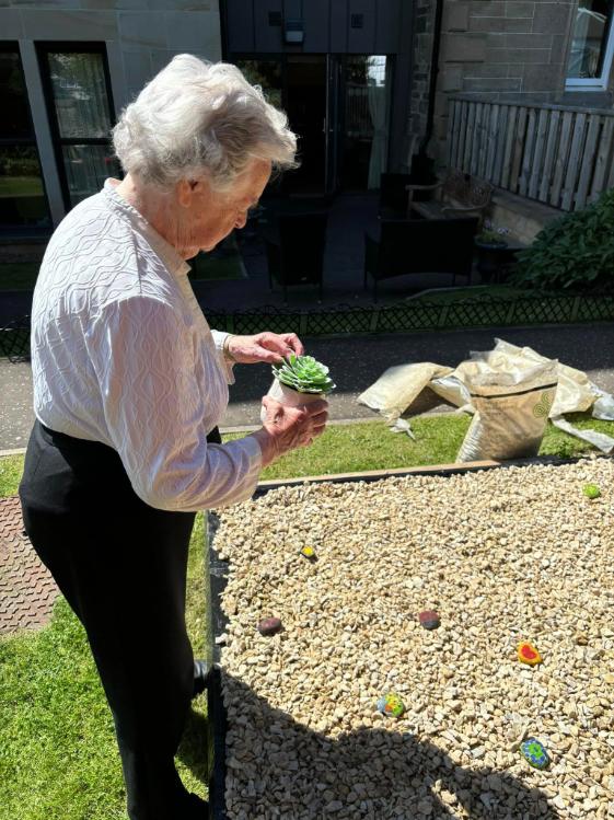 resident creating zen garden with stones and gravel
