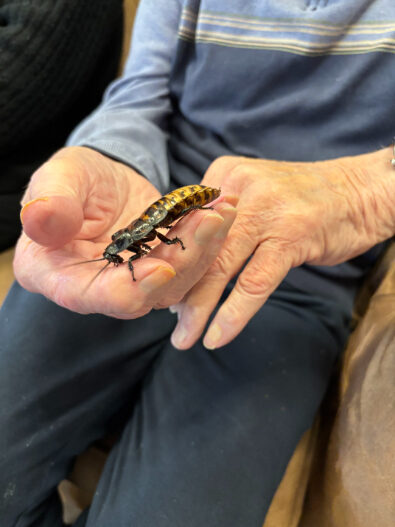 Celebrating World Animal Day at Trinity House with Zoo Lab's animals, and how interaction with animals benefits our residents.